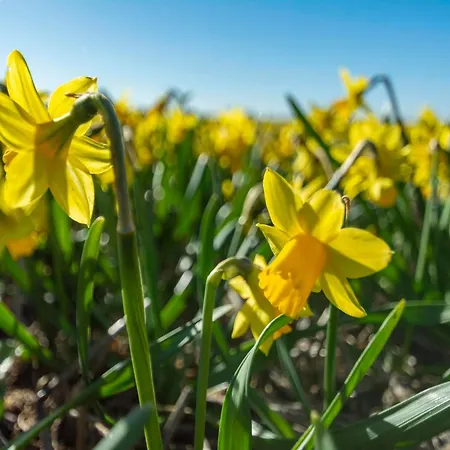 In Groote Keeten Near
